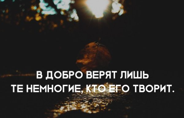 Верь лишь. Верю в доброту. Я верю в доброту. В добро верят лишь. В добро верит тот кто его творит.