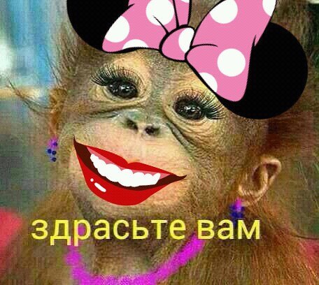 Смешная картинка с надписью дратути, днем рождения юноше