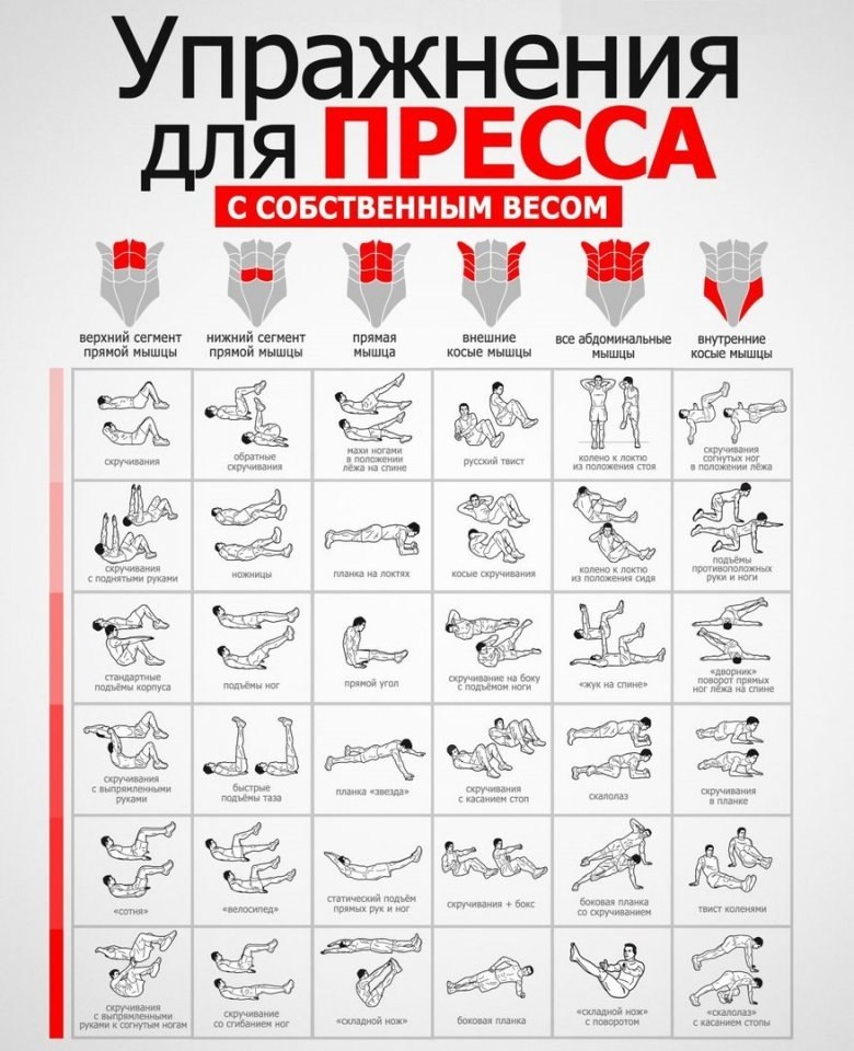 Схема для пресса для мужчин