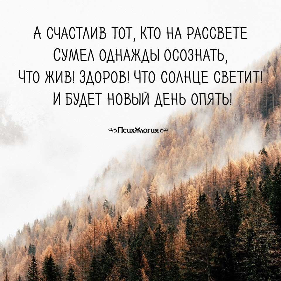 А счастлив тот кто на рассвете сумел однажды осознать картинки