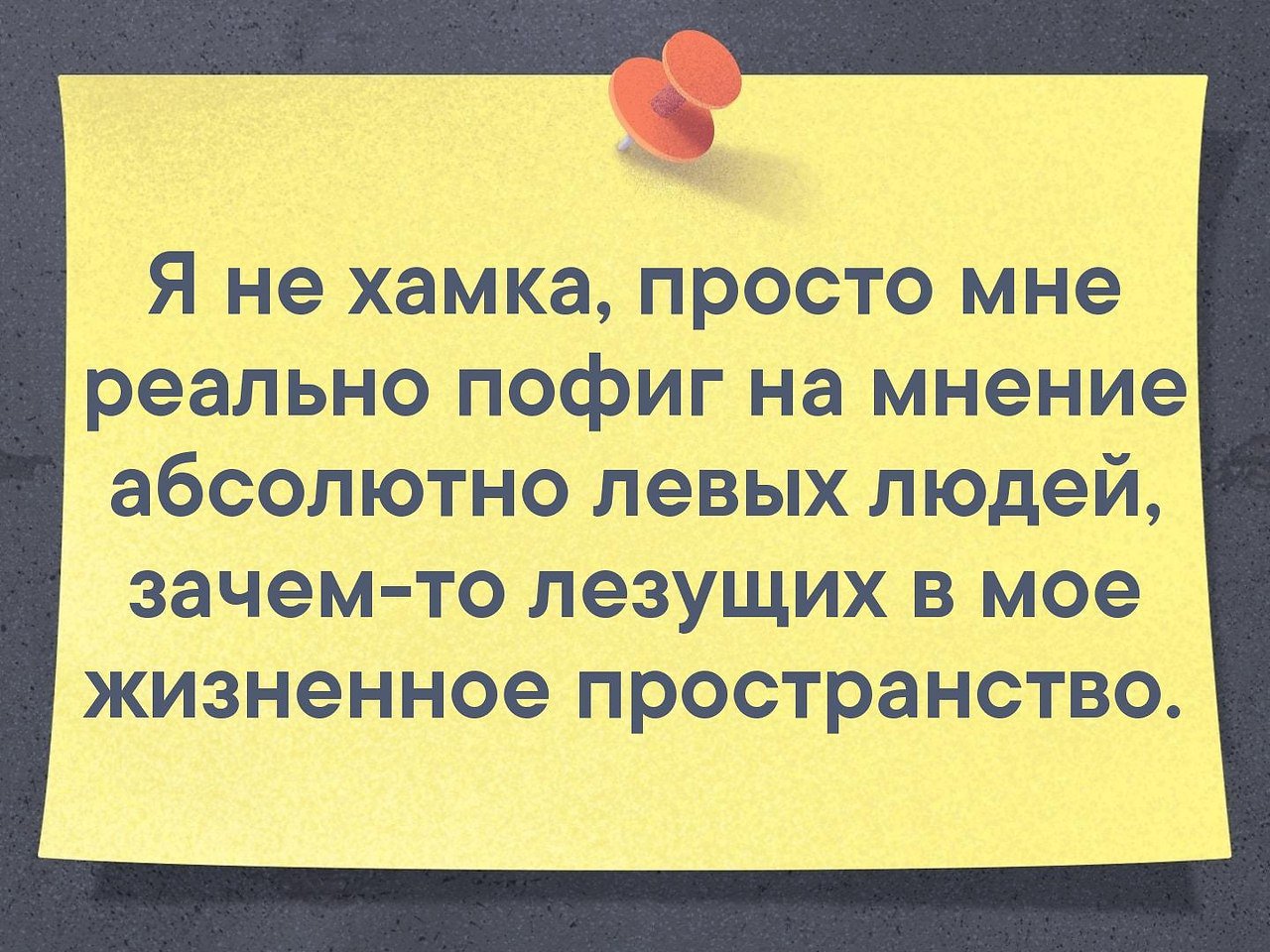 пофиг на чужое мнение картинка птицы