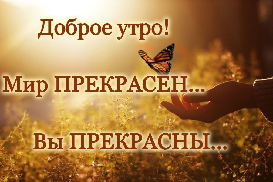Днем рождения, открытки с миром и добром и прекрасным утром