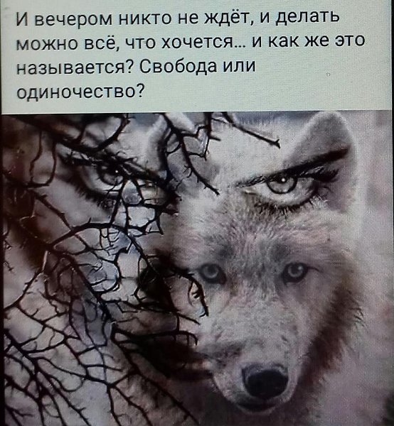 Свобода или одиночество картинки