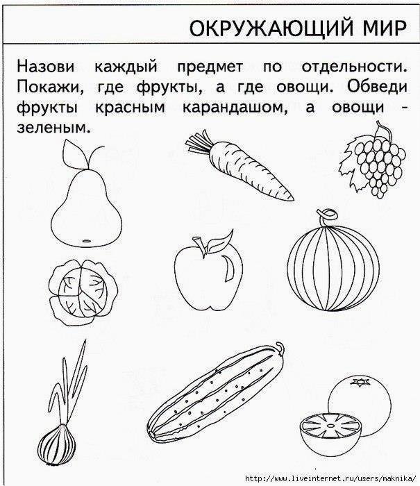 Окружающий мир 1 класс задания в картинках