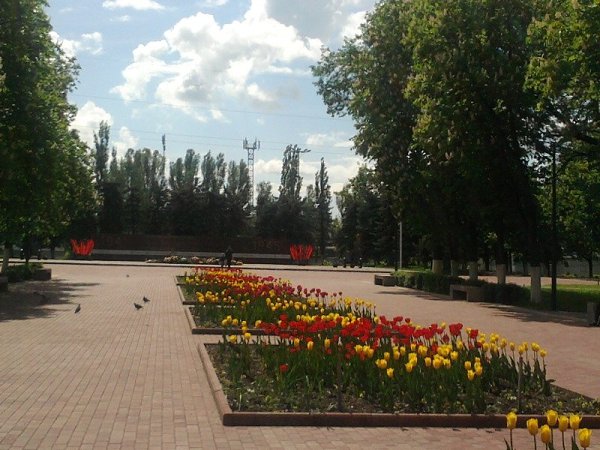 Володарский Район Фото