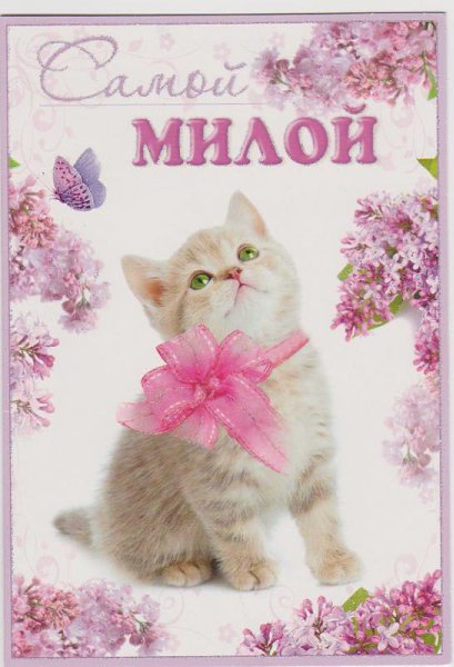 Открыток, нежна мила открытки
