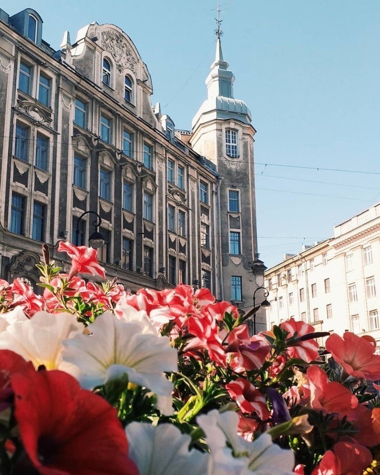 Спб австрийская площадь