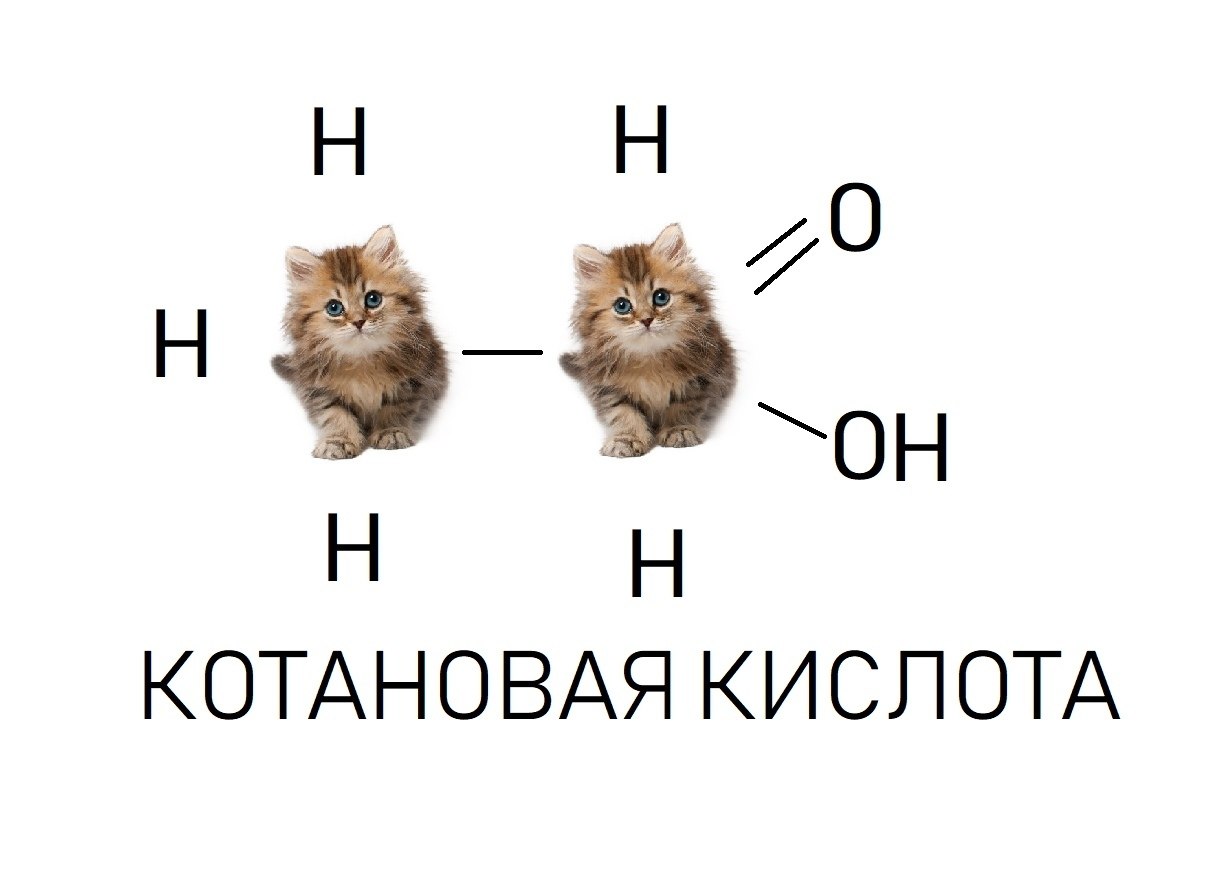 Кот химик картинки