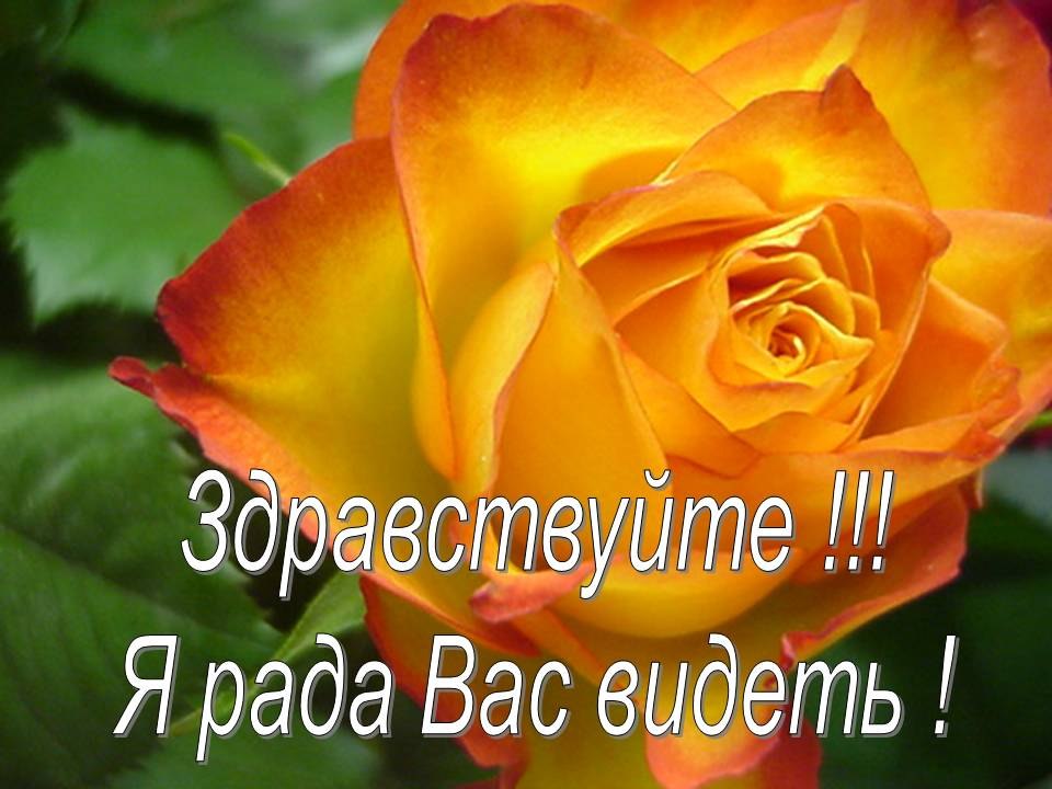 Прикольные картинки рада тебя видеть, надписью зая