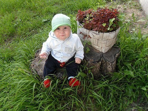 Зеленое эхо. Семья с малышом на пеньках. Детское фото Бузовой на пенечке. Парень сидит с кульком ягод