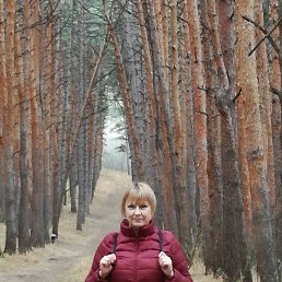 , 55 , 