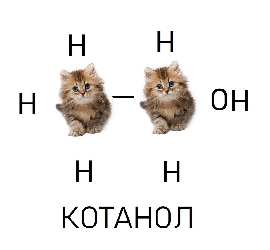 Кот химик рисунок
