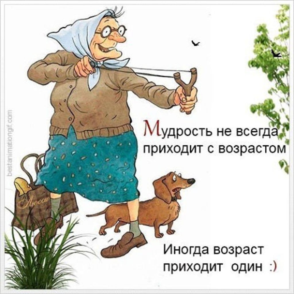 Мудрость и харизма