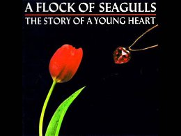A flock of seagulls - Heart of steel. New Wave Rock.