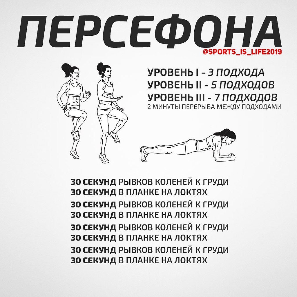 Sports is life. Sports is Life 2019 тренировки. Sport Life 2019 тренировки. Что такое динамика в спорте упражнения. Тренировка и тренер правописание.