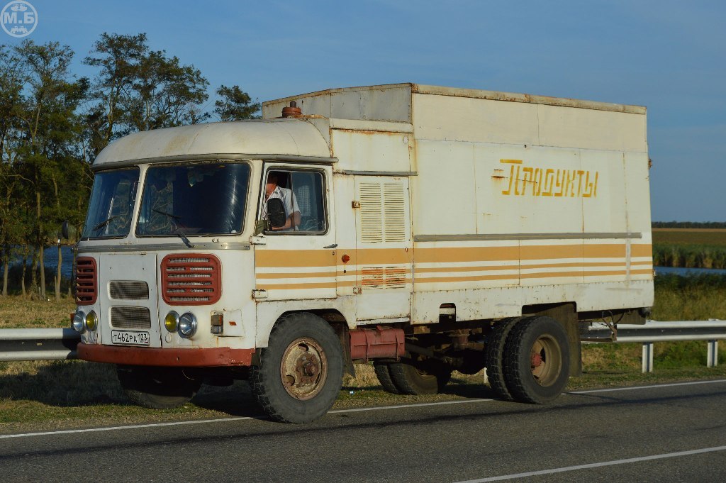 Автобус пингвин фото