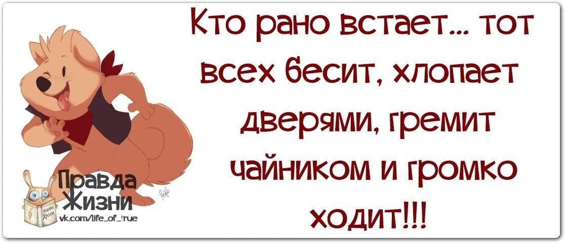 Кто рано встает тот далеко от работы живет картинки прикольные