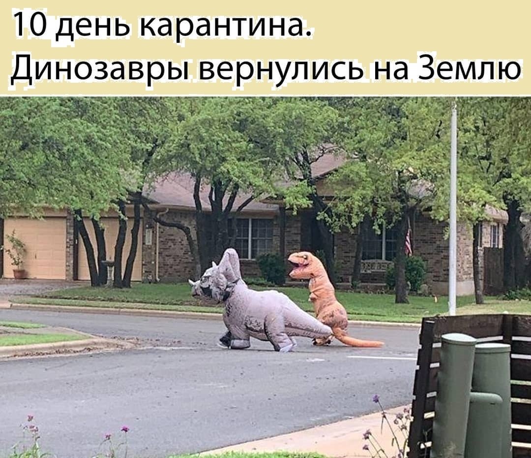 Приколы самые смешные