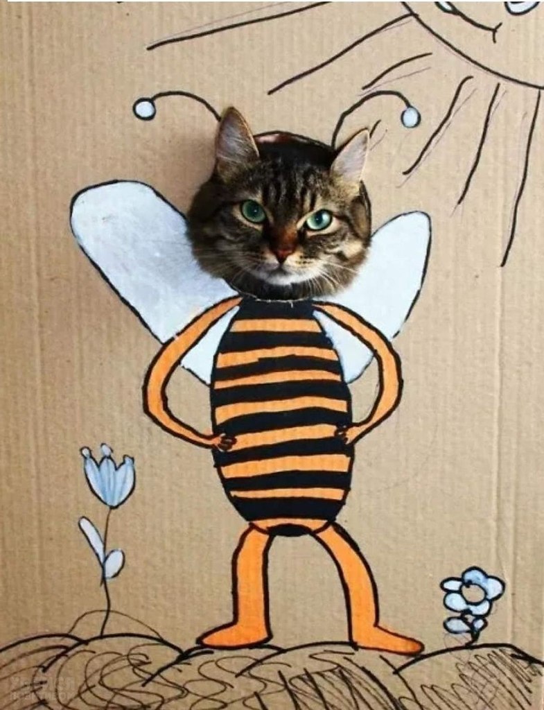Котенок пчела