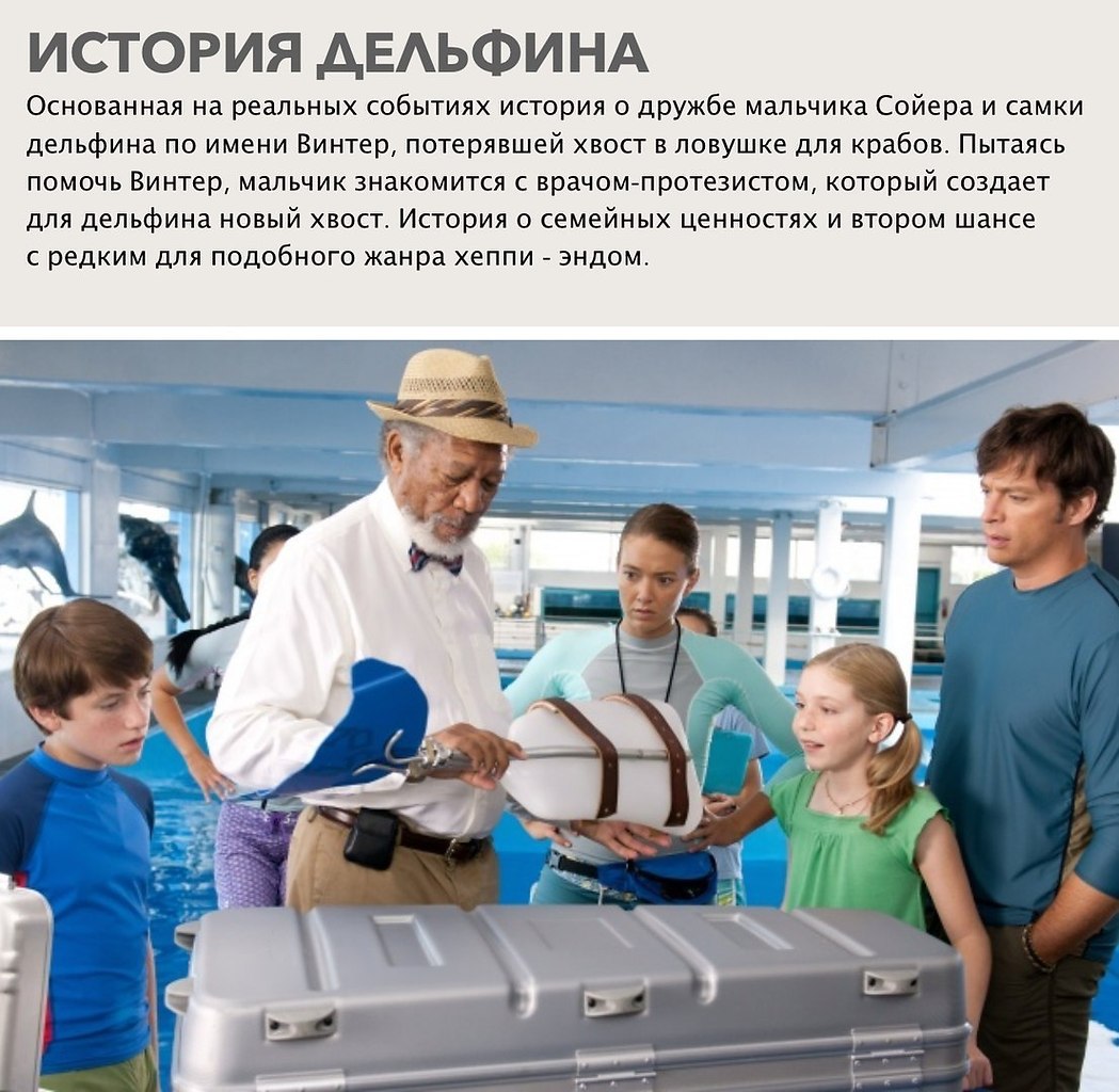 Благодаря поддержке друзей. История дельфина. История дельфина Dolphin Tale, 2011. История дельфина 2. История дельфина мальчик Сойер.