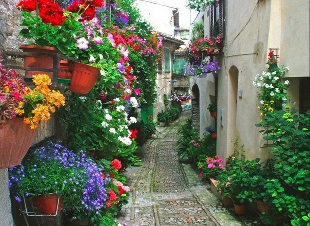 Street of flowers. Кордоба Цветочная улица. Цветочные Дворики, Кордова, Испания. Кордоба Испания Дворики. Кордова Испания улицы.