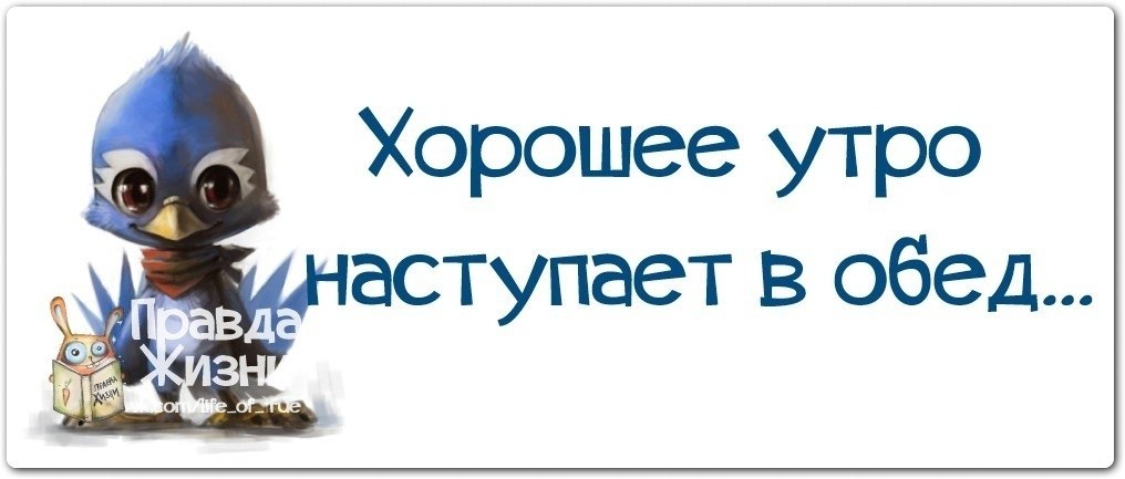 Хорошее утро наступает в обед картинки прикольные