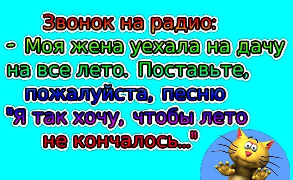 Картинка жена уехала в отпуск