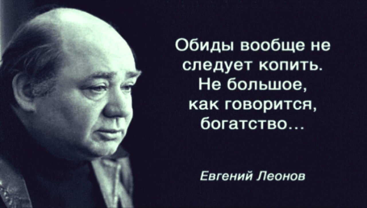 Любой достаточно. Высказывания Евгения Леонова. Евгений Леонов про обиды. Евгений Леонов фразы. Евгений Леонов не великое богатство.