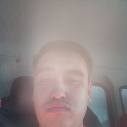 , 31 , 