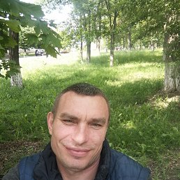 , 50 , 