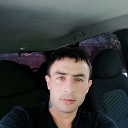 Алексей, 28 лет, Павловск