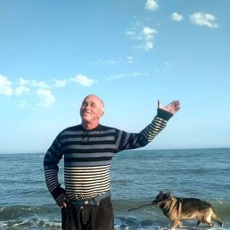 , 53 , 