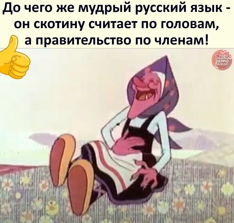 2909739070.jpg