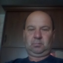 , 51 ,  