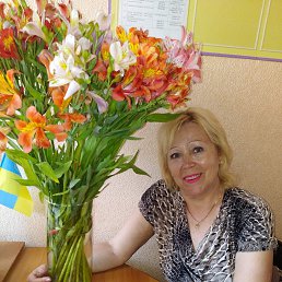 , 66 , 