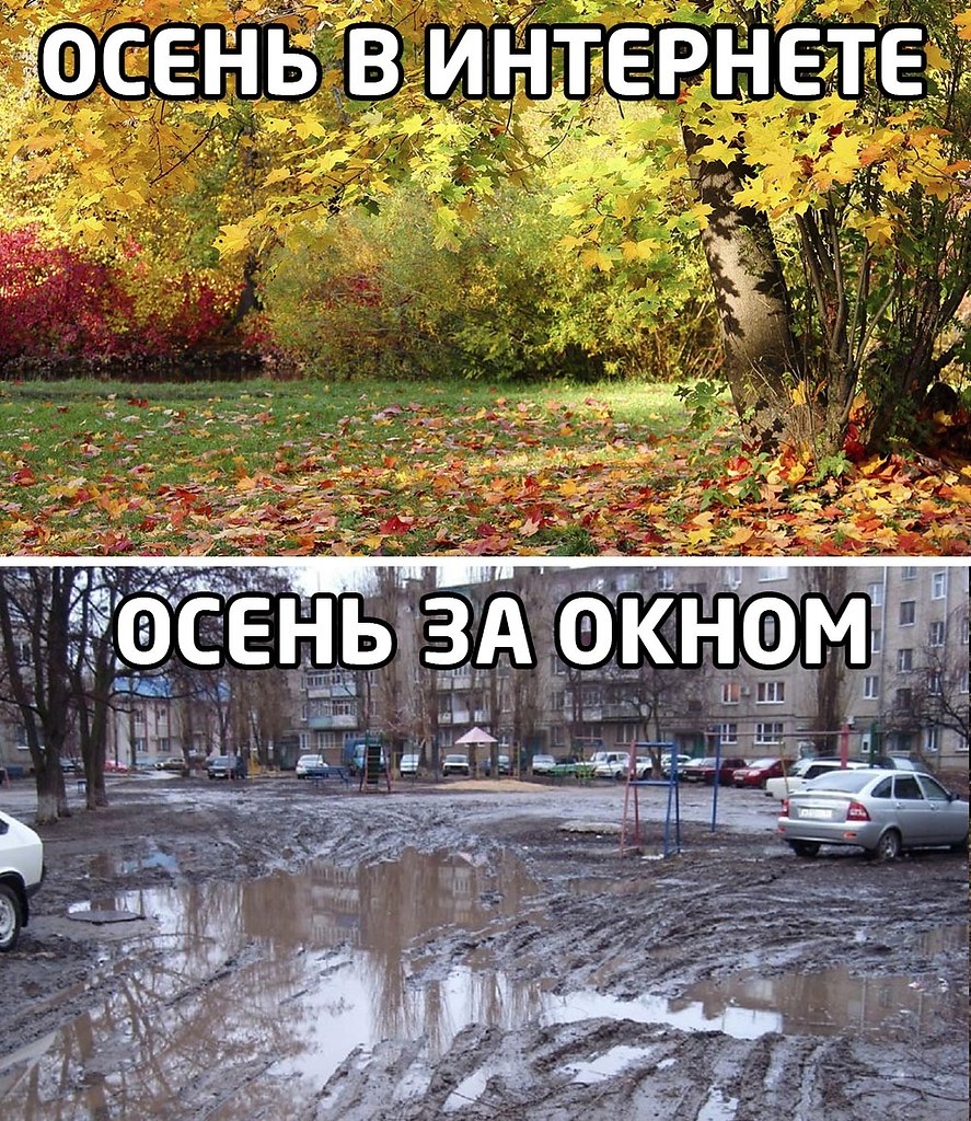 Мемы про осень