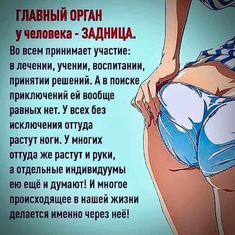 цитаты про большой член фото 85