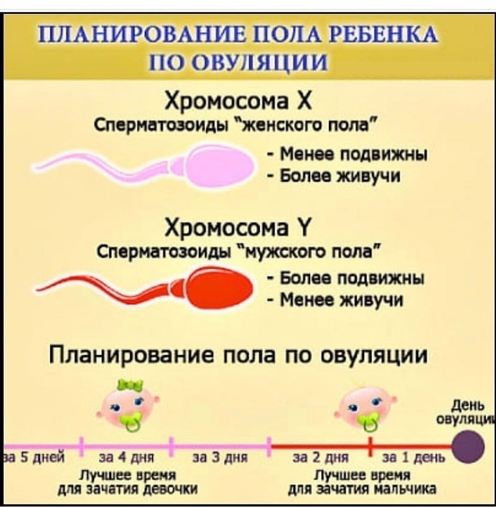 планирование беременности и оргазм фото 30