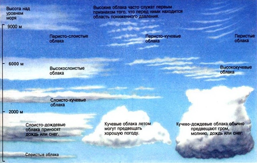 Опишите облака любого яруса по плану 1 название 2 высота образования 3 влияние на погоду