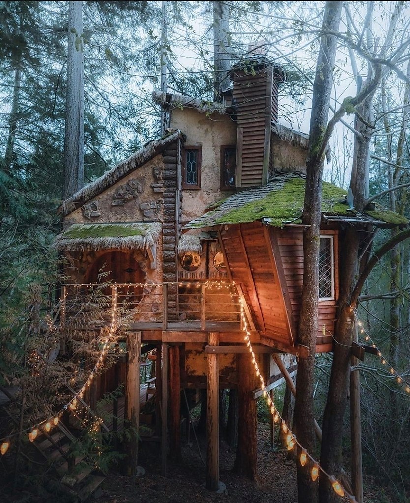 Самые удивительные домики на дереве