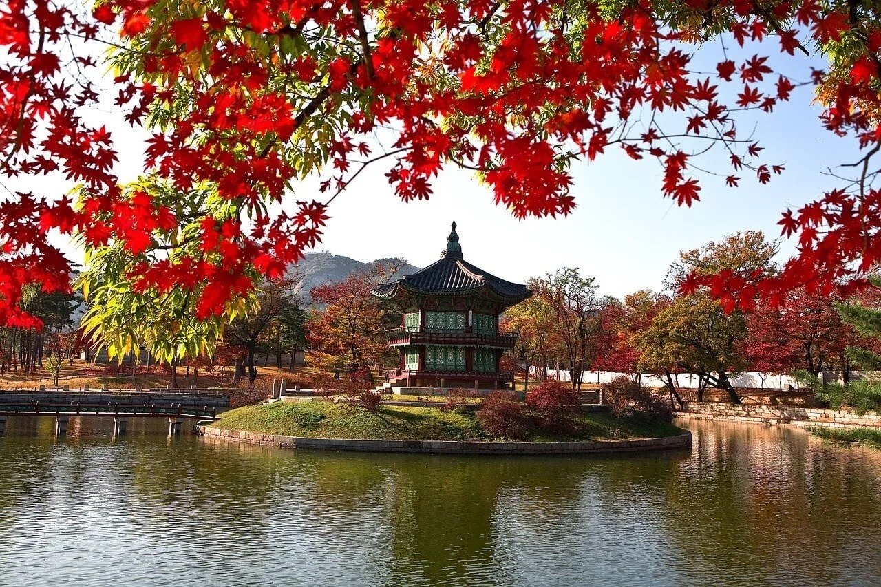 Осень в Корее