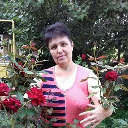 , 53 , 