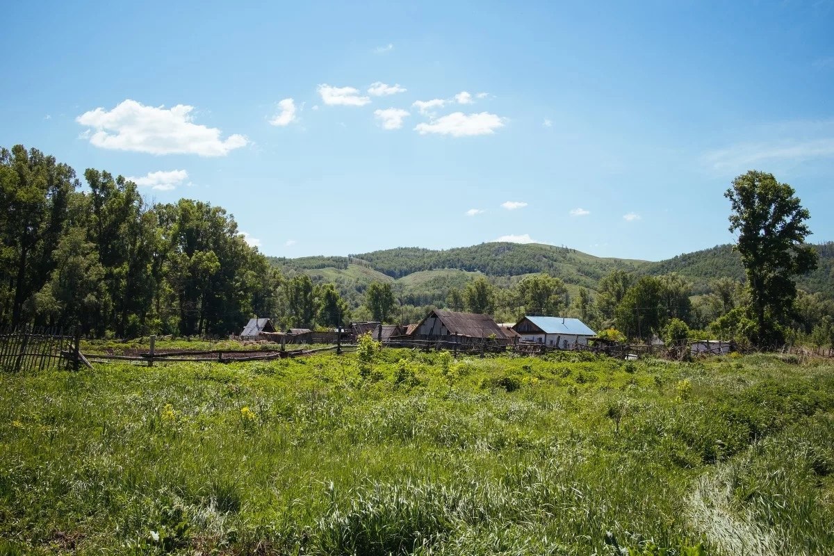 Оренбургскую Область Купить Недорого