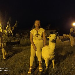 , 61 , 