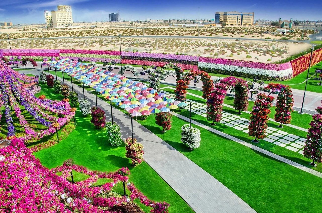 Парк цветов в эмиратах