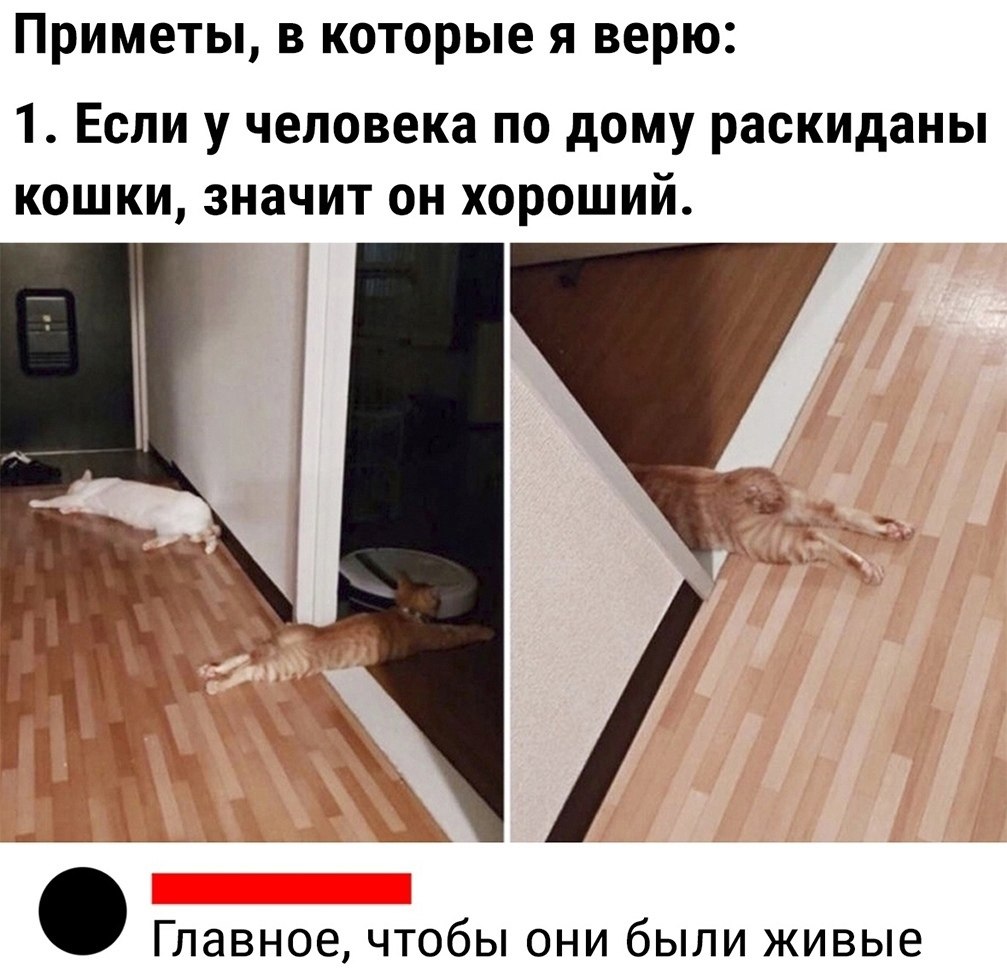 Полы приметы