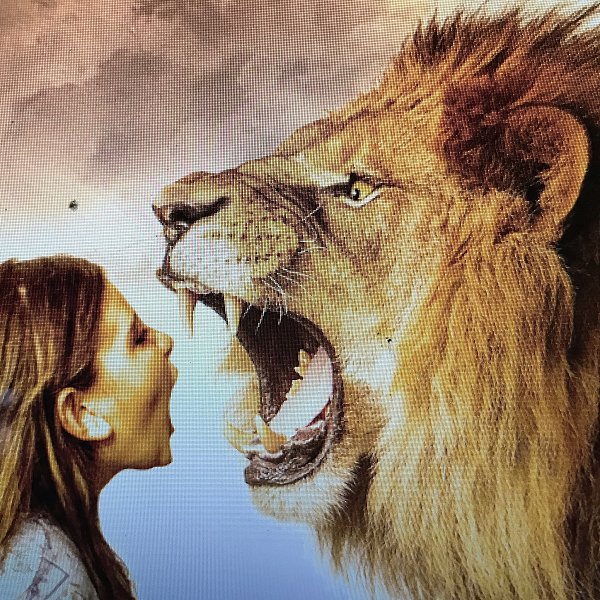 Мужчин лев женщина форум. Человек Лев. Фотосессия со львом. Девушка и Лев. Картина "Лев".