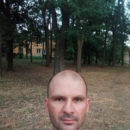 , 41 , 