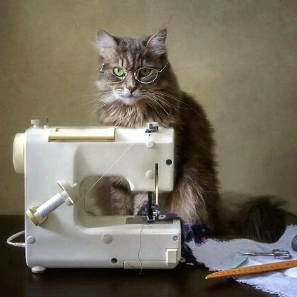 Матроскин вышивает на машинке. Кот и швейная машинка. Коты и Швейные машинки. Кошка и швейная машинка. Кот за швейной машинкой.