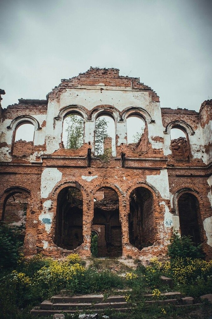 Дворец в гостилицах фото